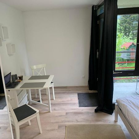 Kleines Einzimmer-Apartment 14 巴特维尔德巴德 外观 照片