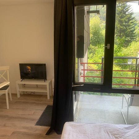 Kleines Einzimmer-Apartment 14 巴特维尔德巴德 外观 照片