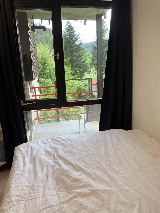 Kleines Einzimmer-Apartment 14 巴特维尔德巴德 外观 照片