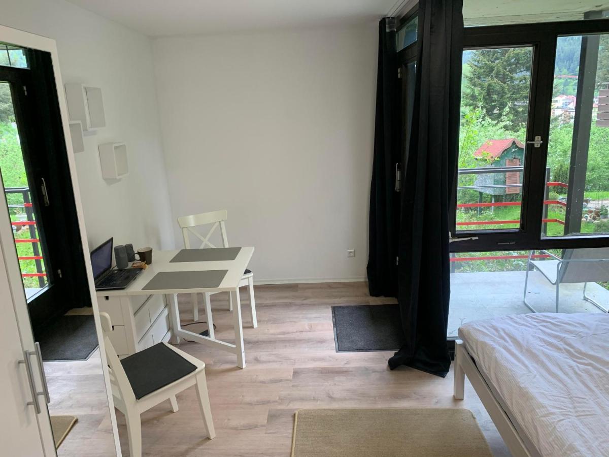 Kleines Einzimmer-Apartment 14 巴特维尔德巴德 外观 照片