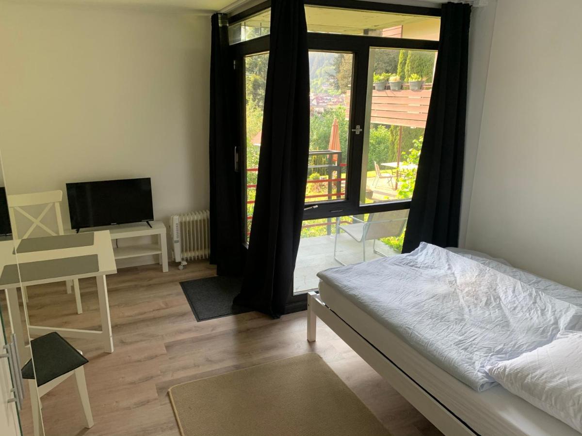 Kleines Einzimmer-Apartment 14 巴特维尔德巴德 外观 照片